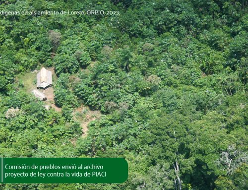 Comisión de Pueblos Andinos archiva proyecto que vulneraba derechos de los PIACI