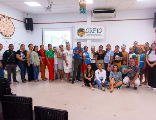 Presentación de logros y avances del Programa Mujer Indígena de ORPIO (2023–2025)