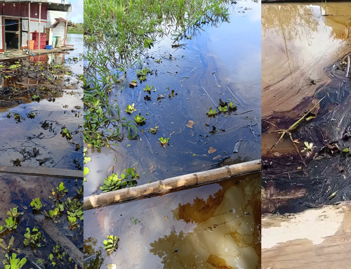 PRONUNCIAMIENTO Exigimos acción inmediata ante derrame de petróleo en la cuenca del río Amazonas