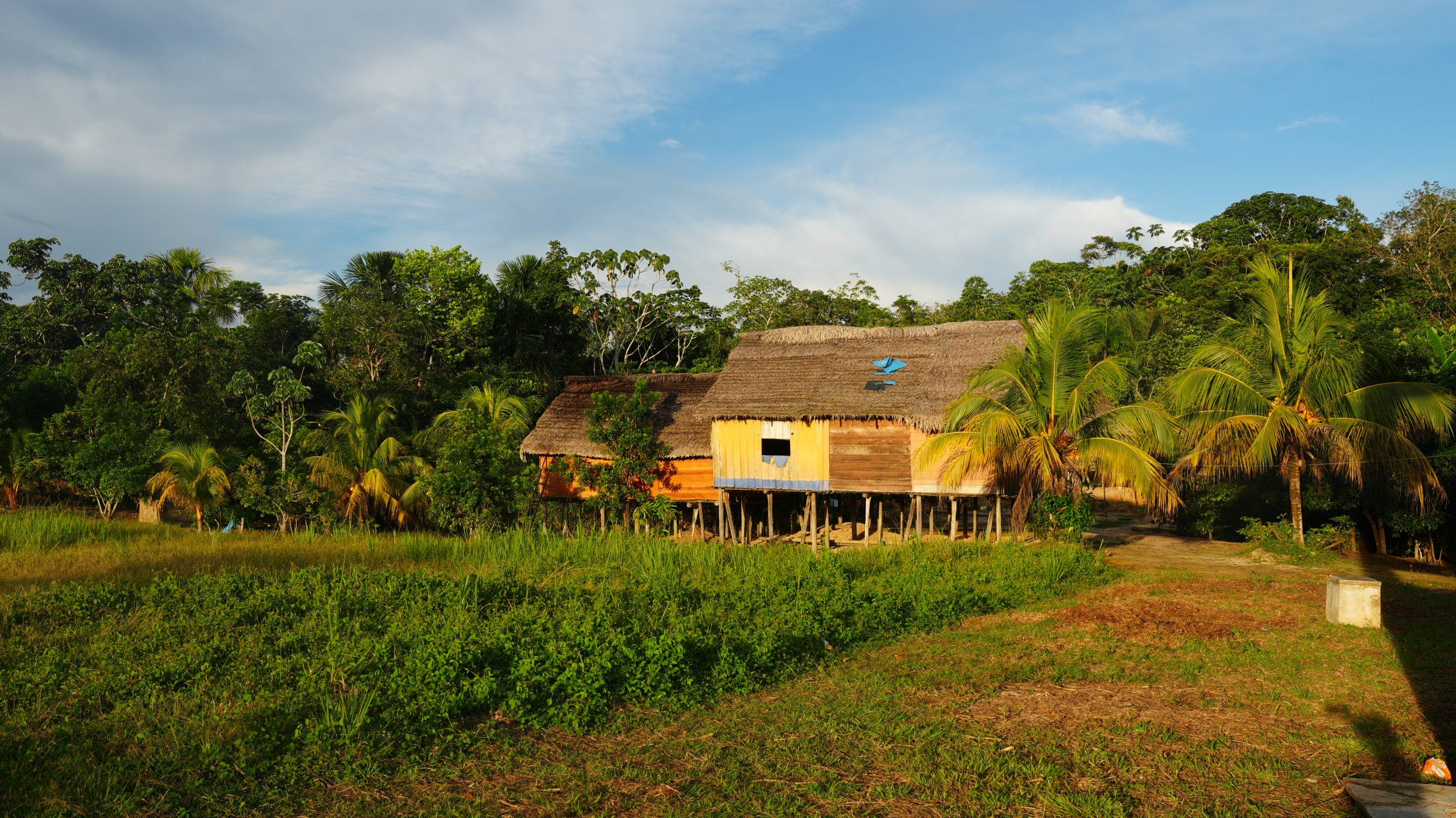 DSC02055