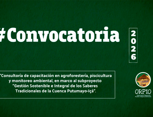 CONVOCATORIA DE CONSULTORÍA Nº 006-2026