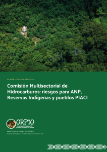 caratula-informe-tecnico-legal-comision-de-hidrocarburos