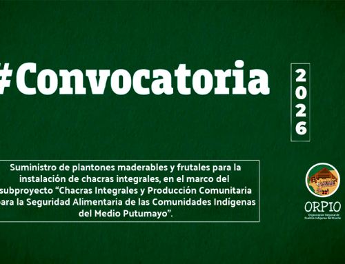 CONVOCATORIA DE ADQUISICIONES DE PLANTONES Nº 003-2026