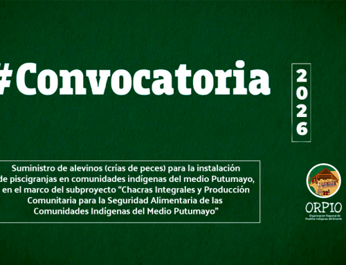 CONVOCATORIA DE COMPRA DE ALEVINOS Nº 004-2026