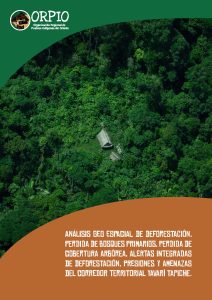 Análisis Geo espacial de Perdida de Bosques primarios, deforestacion y amenazas del Corredor Territorial Yavari Tapiche (1)_Página_01